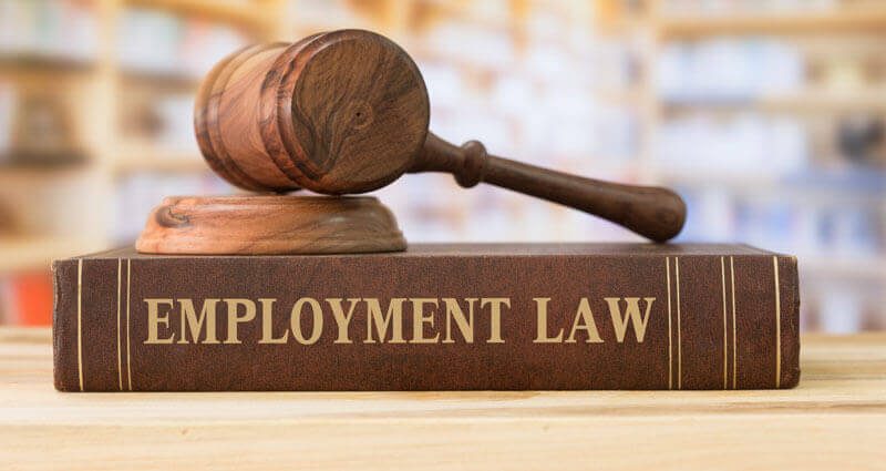 Employment Law image